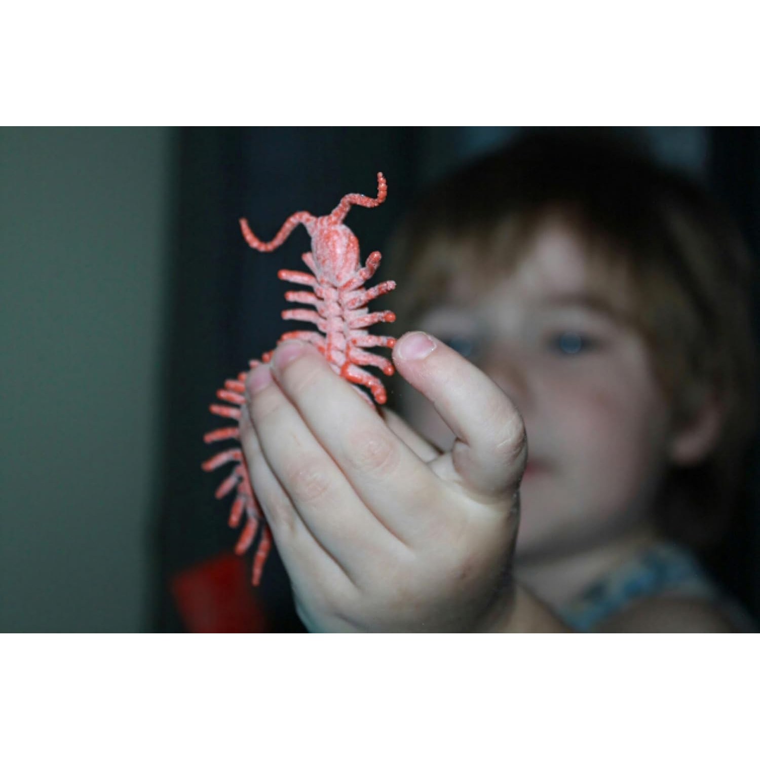 16-Piece Realistic Insect Figures Set: image 4